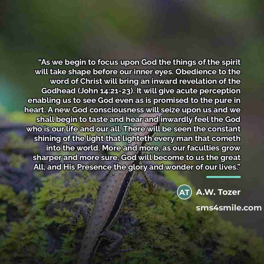 “As we begin to focus upon God the things of the spirit will take shape before our inner eyes. Obedience to the word of Christ will bring an inward revelation of the Godhead (John 14:21-23). It will give acute perception enabling us to see God even as is promised to the pure in heart. A new God…” quote by A.W. Tozer