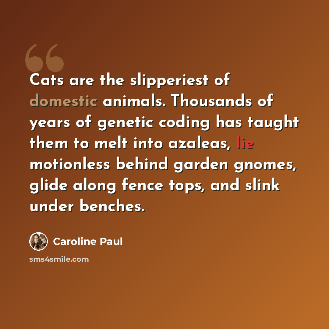 “Cats are the slipperiest of domestic animals. Thousands of years of genetic coding has taught them to melt into azaleas, lie motionless behind garden gnomes, glide along fence tops, and slink under benches.” quote by Caroline Paul