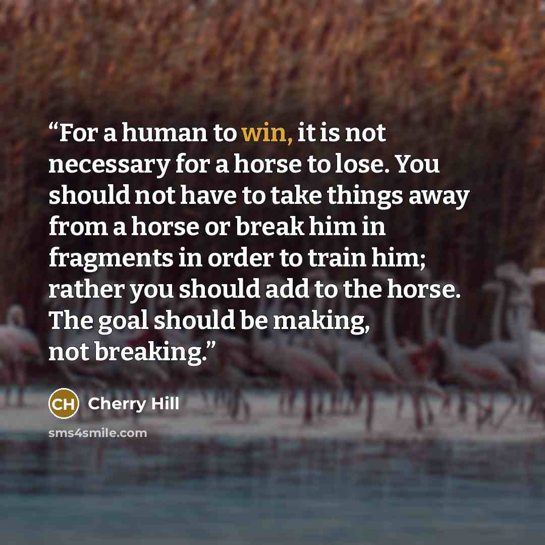 “For a human to win, it is not necessary for a horse to lose. You should not have to take things away from a horse or break him in fragments in order to train him; rather you should add to the horse. The goal should be making, not breaking.” quote by Cherry Hill