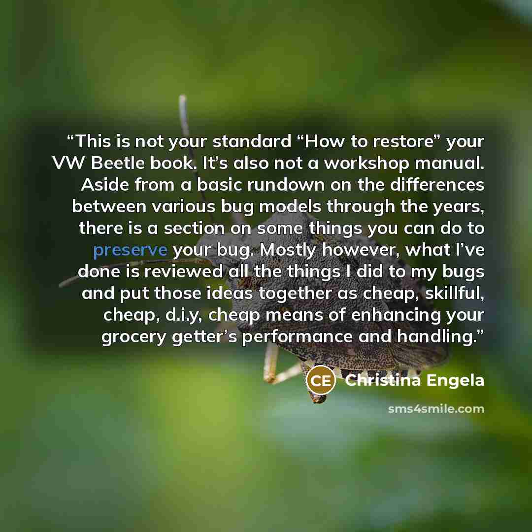 “This is not your standard “How to restore” your VW Beetle book. It’s also not a workshop manual. Aside from a basic rundown on the differences between various bug models through the years, there is a section on some things you can do to preserve your bug. Mostly however, what I’ve done is reviewed…” quote by Christina Engela