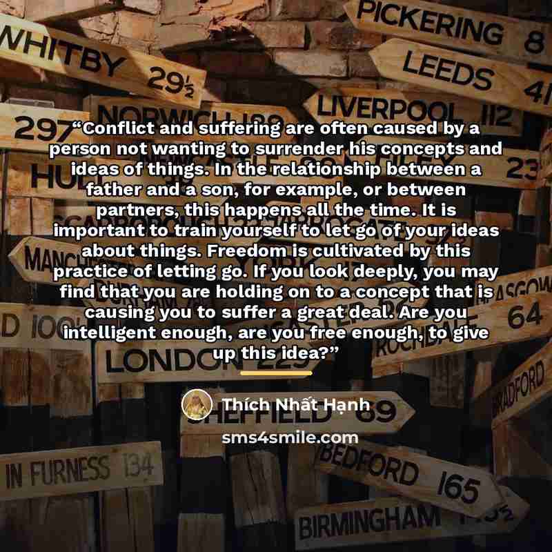 “Conflict and suffering are often caused by a person not wanting to surrender his concepts and ideas of things. In the relationship between a father and a son, for example, or between partners, this happens all the time. It is important to train yourself to let go of your ideas about things…” quote by Thich Nhat Hanh