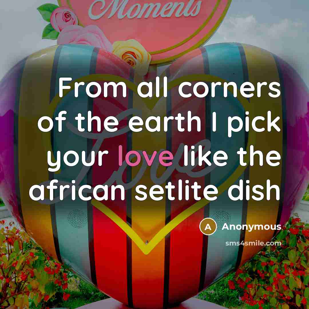 “From all corners of the earth I pick your love like the african setlite dish” quote by Anonymous