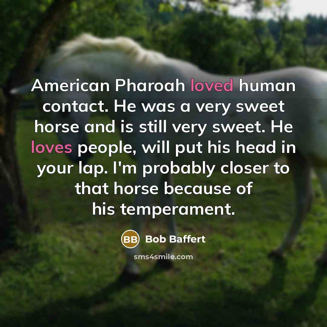 “American Pharoah loved human contact. He was a very sweet horse and is still very sweet. He loves people, will put his head in your lap. I'm probably closer to that horse because of his temperament.” quote by Bob Baffert