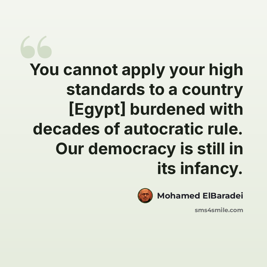 “You cannot apply your high standards to a country [Egypt] burdened with decades of autocratic rule. Our democracy is still in its infancy.” quote by Mohamed ElBaradei