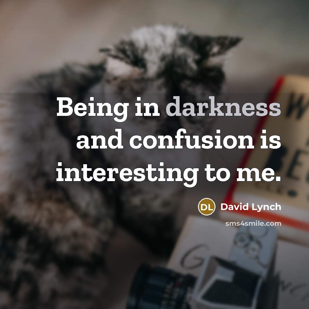 “Being in darkness and confusion is interesting to me.” quote by David Lynch