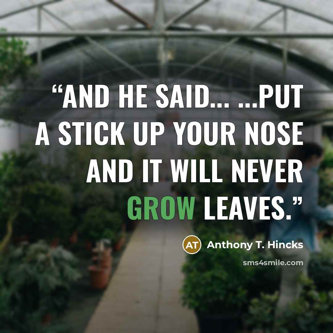 “And he said... ...put a stick up your nose and it will never grow leaves.” quote by Anthony T. Hincks