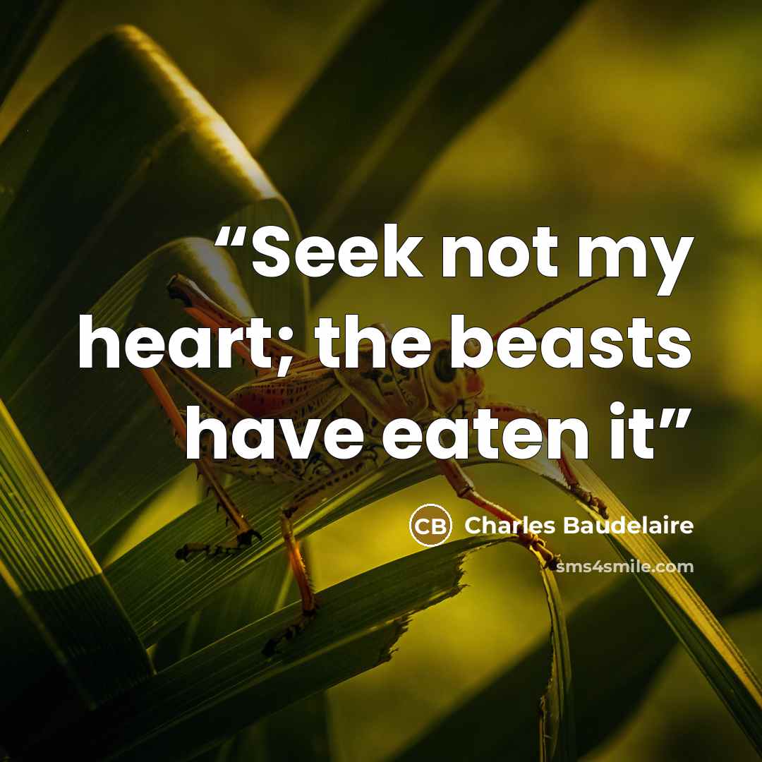 “Seek not my heart; the beasts have eaten it” quote by Charles Baudelaire