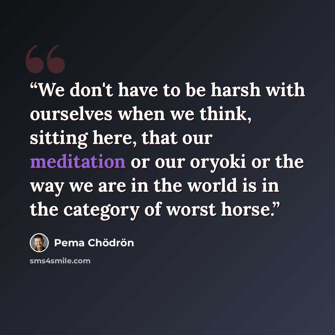 “We don't have to be harsh with ourselves when we think, sitting here, that our meditation or our oryoki or the way we are in the world is in the category of worst horse.” quote by Pema Chödrön