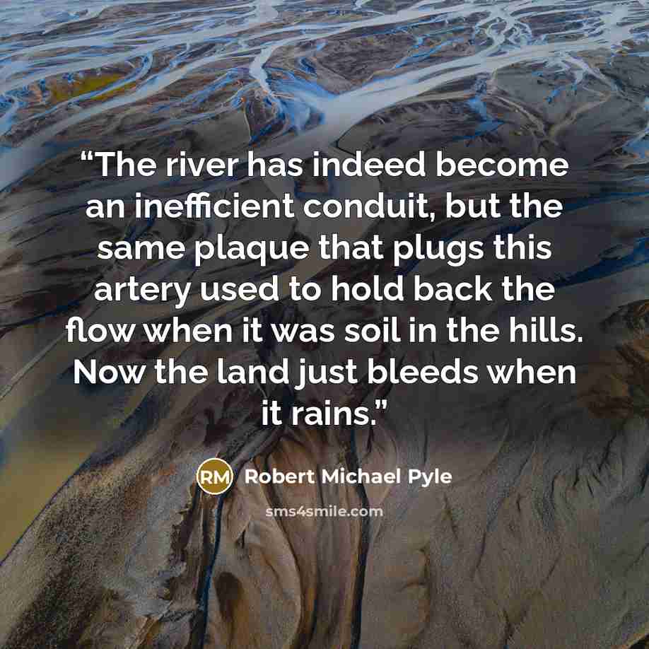 “The river has indeed become an inefficient conduit, but the same plaque that plugs this artery used to hold back the flow when it was soil in the hills. Now the land just bleeds when it rains.” quote by Robert Michael Pyle