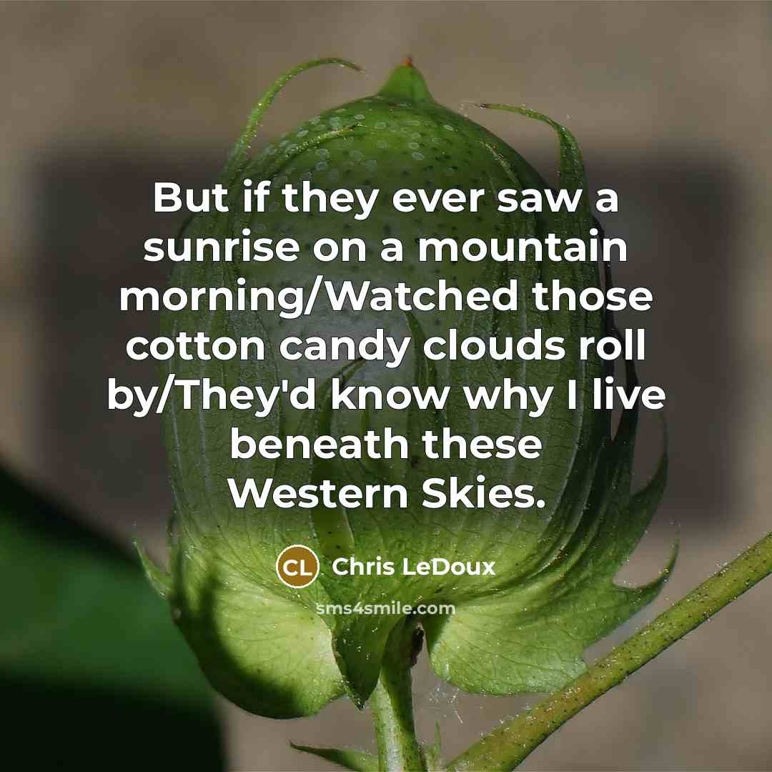 “But if they ever saw a sunrise on a mountain morning/Watched those cotton candy clouds roll by/They'd know why I live beneath these Western Skies.” quote by Chris LeDoux