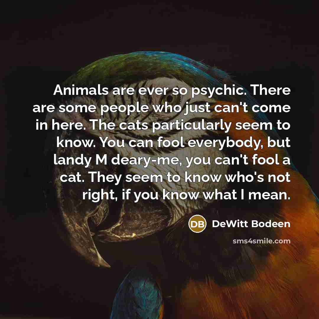 “Animals are ever so psychic. There are some people who just can't come in here. The cats particularly seem to know. You can fool everybody, but landy M deary-me, you can't fool a cat. They seem to know who's not right, if you know what I mean.” quote by DeWitt Bodeen