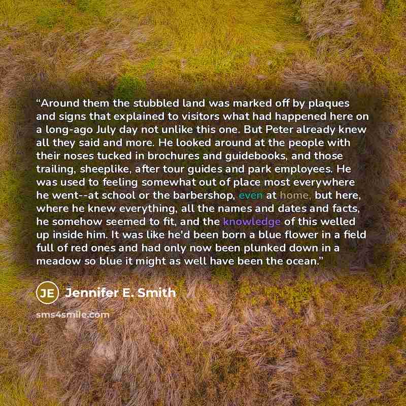 “Around them the stubbled land was marked off by plaques and signs that explained to visitors what had happened here on a long-ago July day not unlike this one. But Peter already knew all they said and more. He looked around at the people with their noses tucked in brochures and guidebooks, and…” quote by Jennifer E. Smith