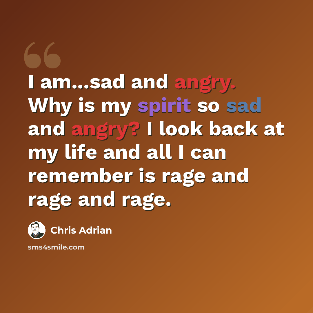 “I am...sad and angry. Why is my spirit so sad and angry? I look back at my life and all I can remember is rage and rage and rage.” quote by Chris Adrian
