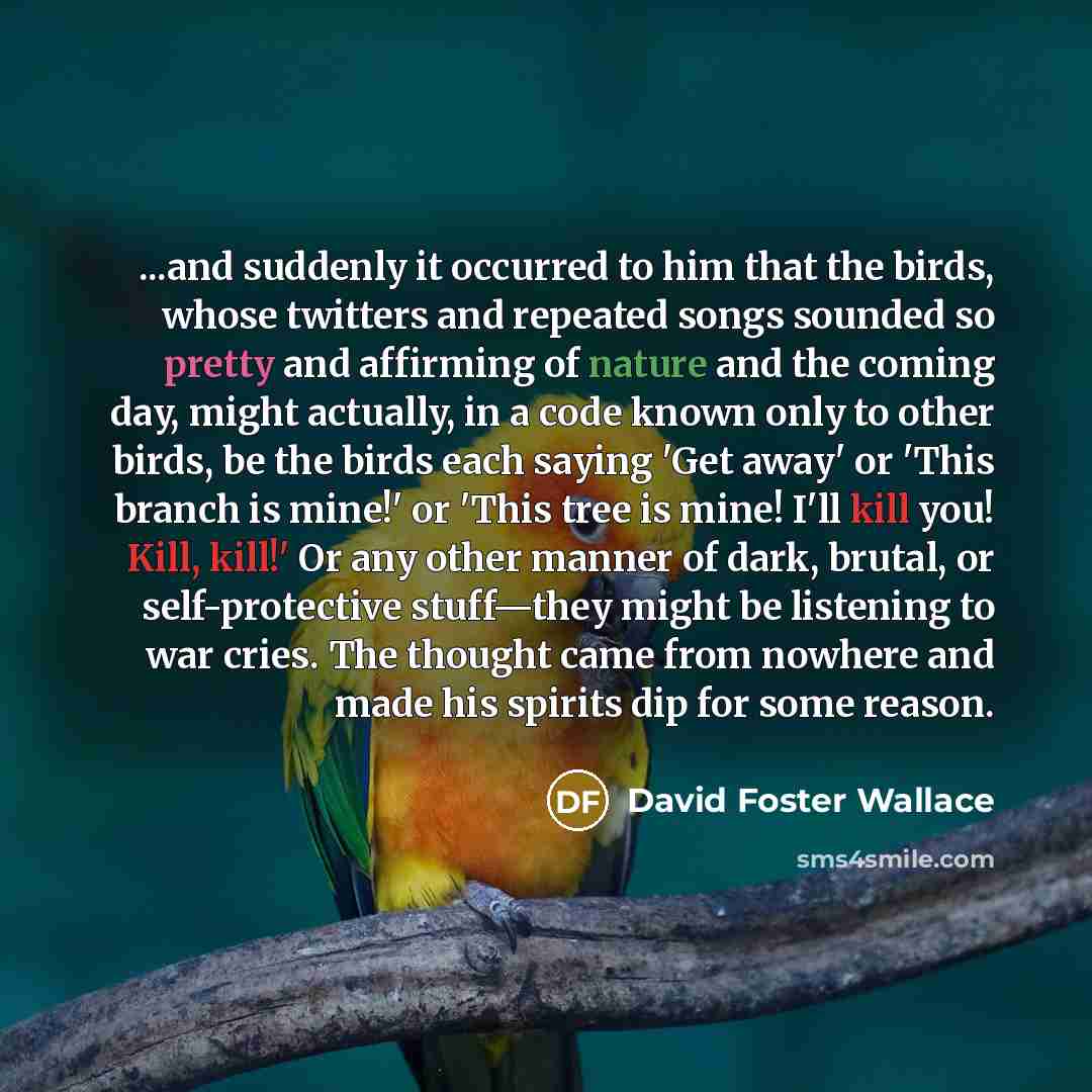 “...and suddenly it occurred to him that the birds, whose twitters and repeated songs sounded so pretty and affirming of nature and the coming day, might actually, in a code known only to other birds, be the birds each saying 'Get away' or 'This branch is mine!' or 'This tree is mine! I'll kill…” quote by David Foster Wallace