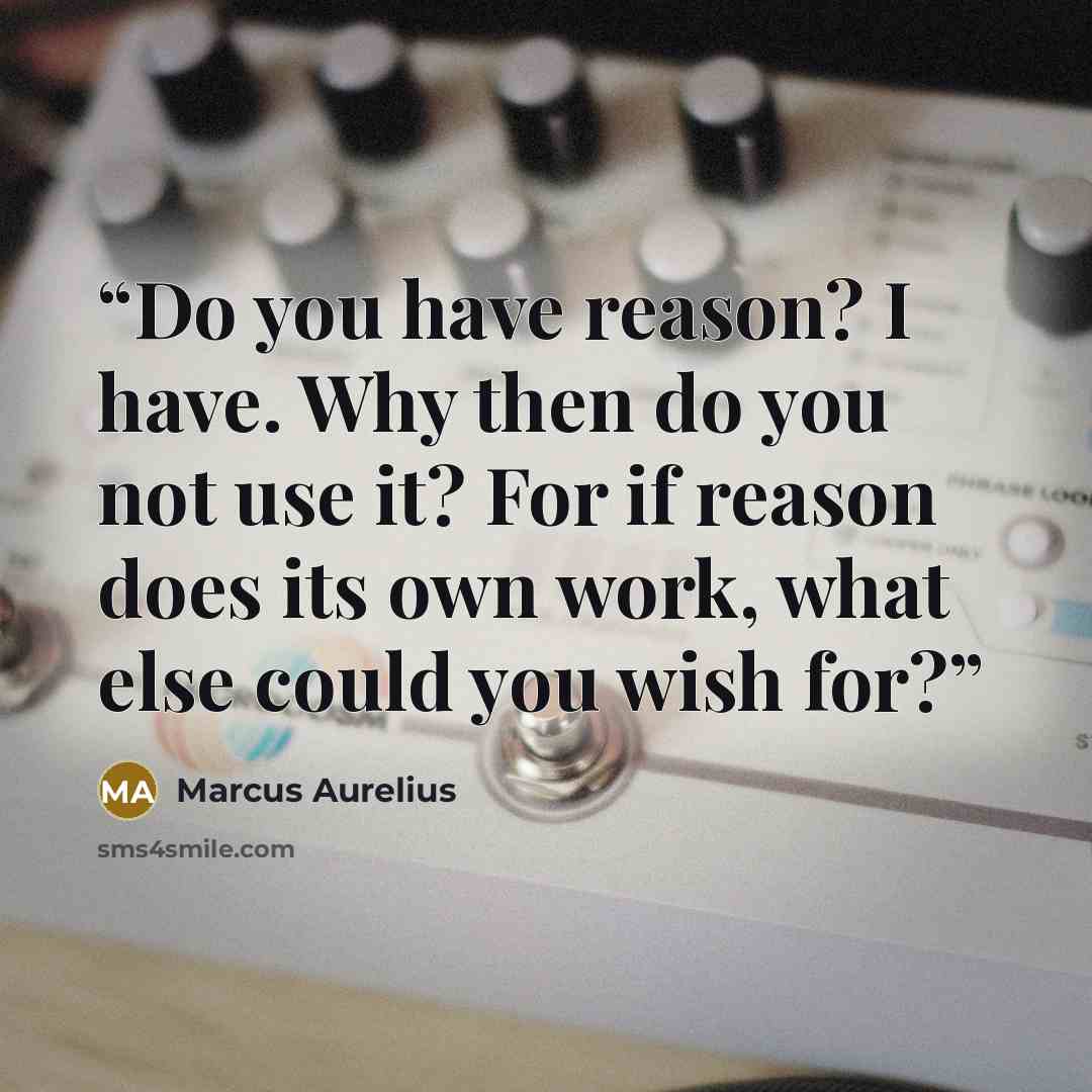 “Do you have reason? I have. Why then do you not use it? For if reason does its own work, what else could you wish for?” quote by Marcus Aurelius