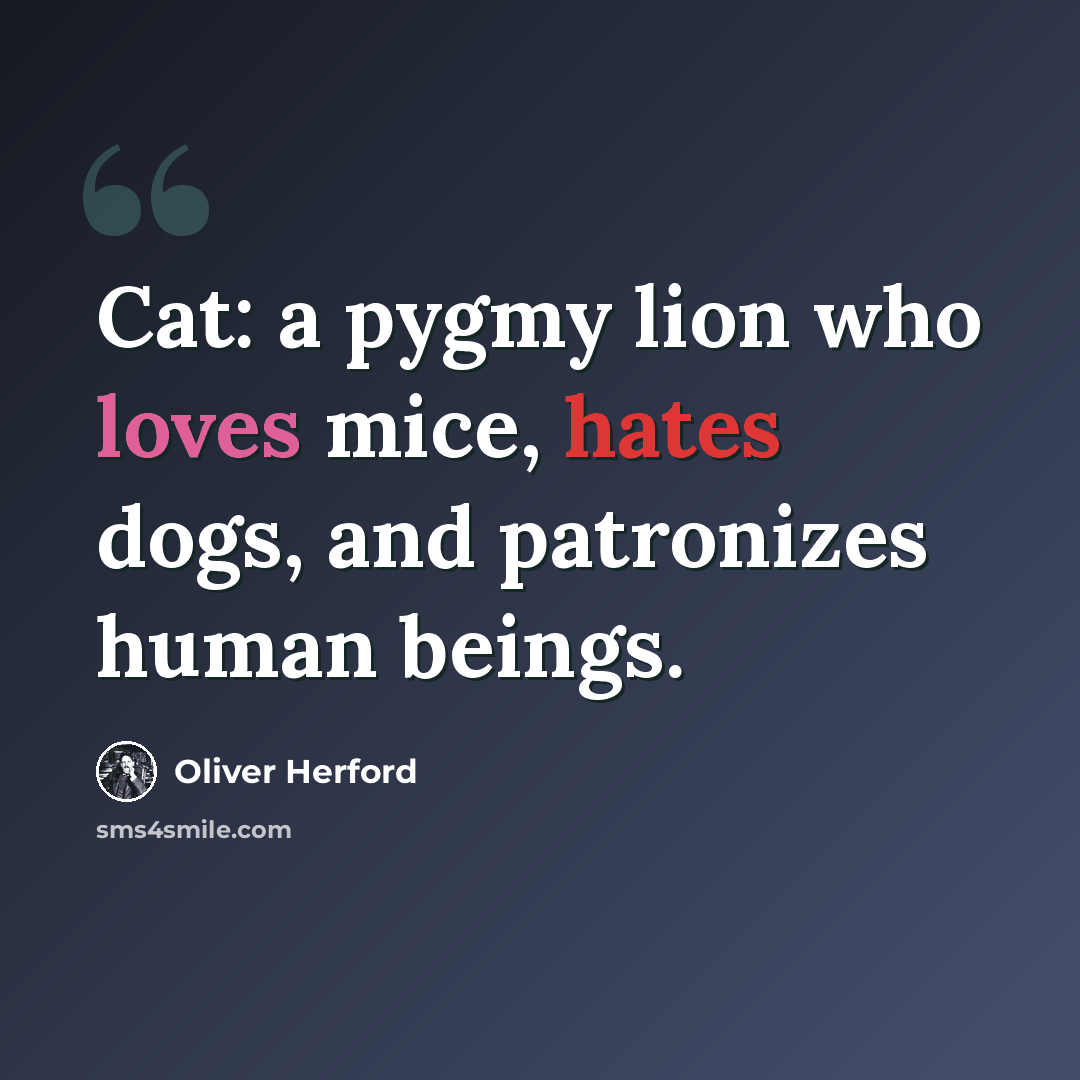 “Cat: a pygmy lion who loves mice, hates dogs, and patronizes human beings.” quote by Oliver Herford