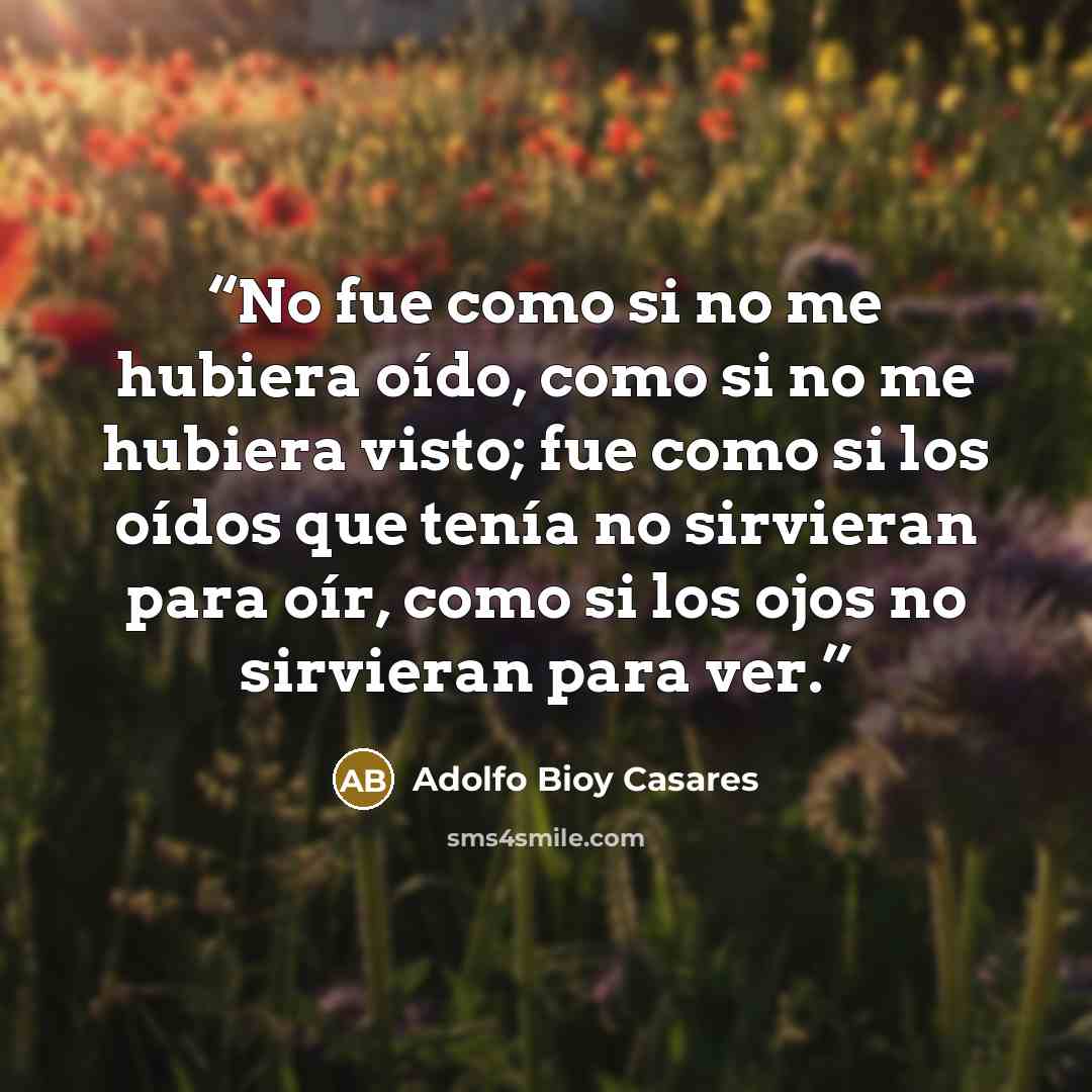 “No fue como si no me hubiera oído, como si no me hubiera visto; fue como si los oídos que tenía no sirvieran para oír, como si los ojos no sirvieran para ver.” quote by Adolfo Bioy Casares