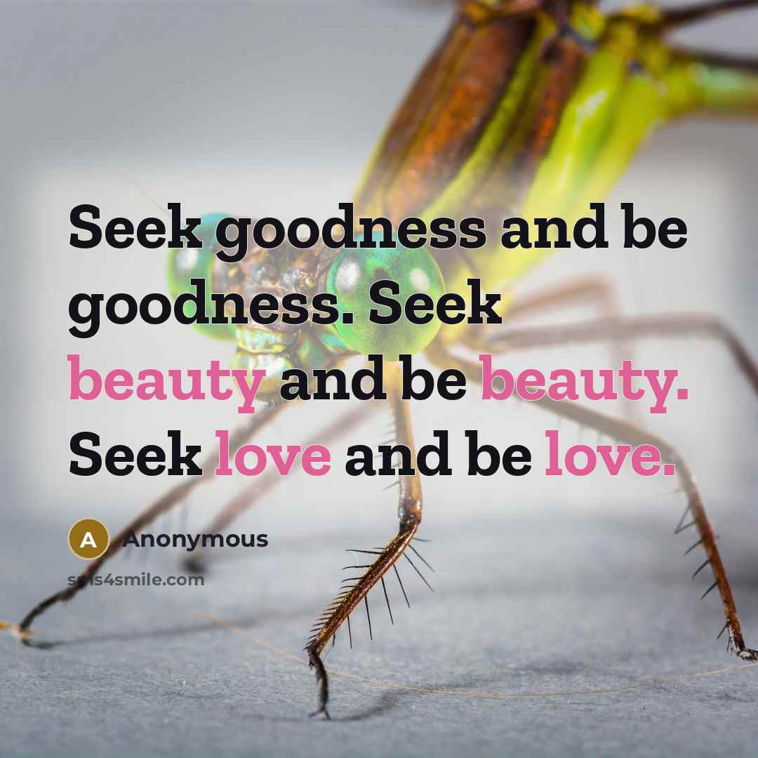 “Seek goodness and be goodness. Seek beauty and be beauty. Seek love and be love.” quote by Anonymous
