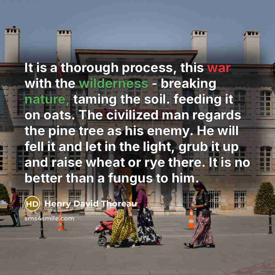 “It is a thorough process, this war with the wilderness - breaking nature, taming the soil. feeding it on oats. The civilized man regards the pine tree as his enemy. He will fell it and let in the light, grub it up and raise wheat or rye there. It is no better than a fungus to him.” quote by Henry David Thoreau