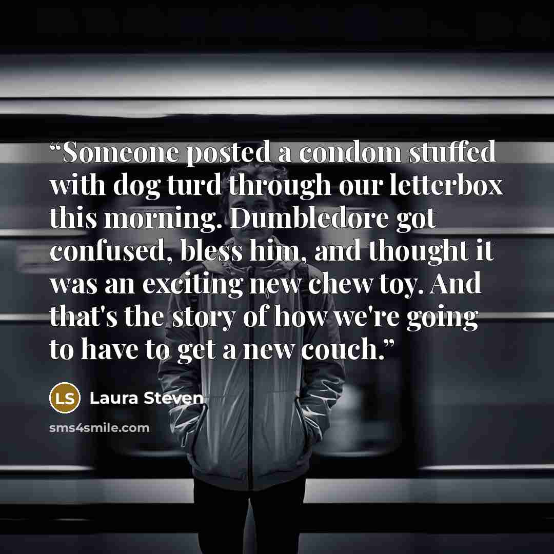 “Someone posted a condom stuffed with dog turd through our letterbox this morning. Dumbledore got confused, bless him, and thought it was an exciting new chew toy. And that's the story of how we're going to have to get a new couch.” quote by Laura Steven