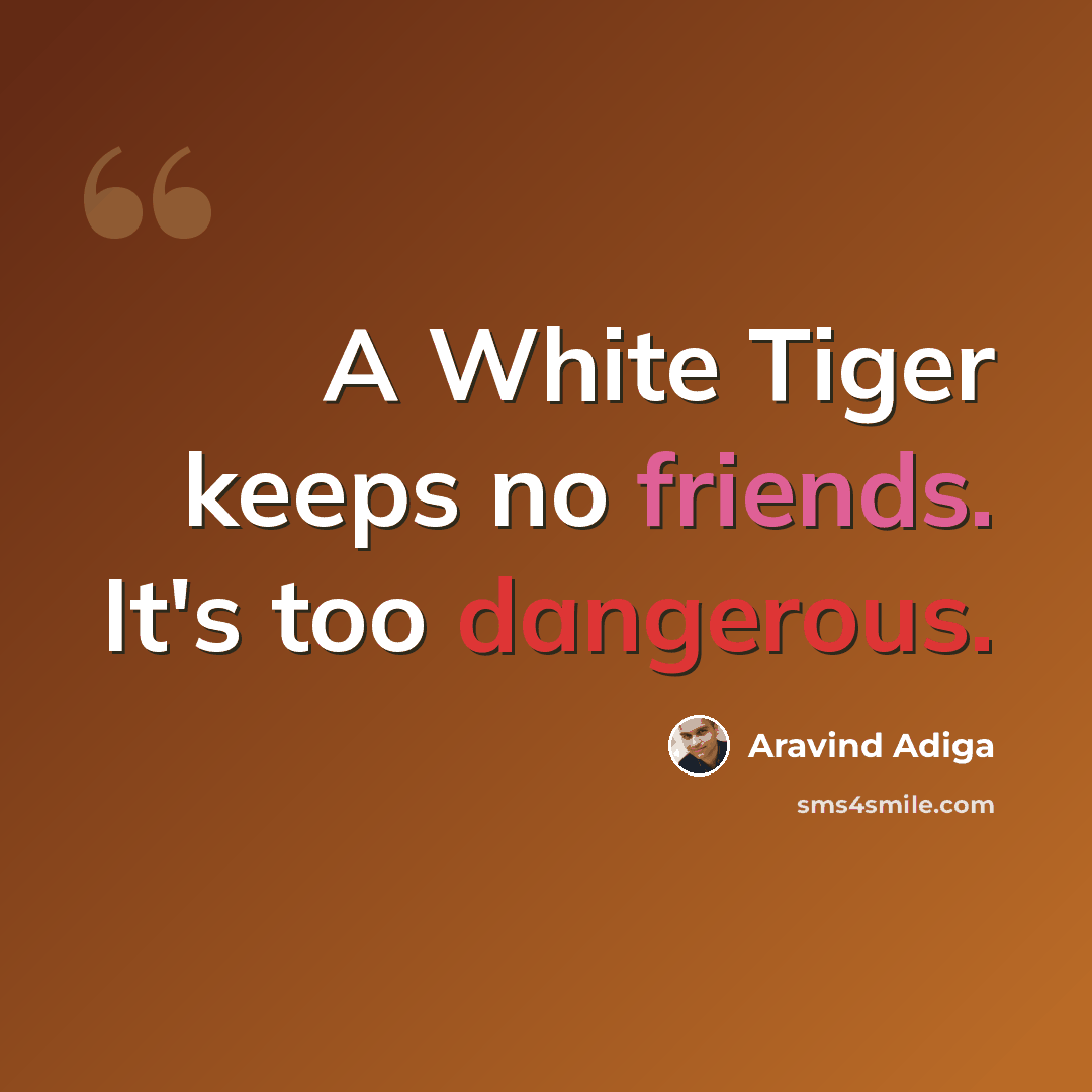 “A White Tiger keeps no friends. It's too dangerous.” quote by Aravind Adiga
