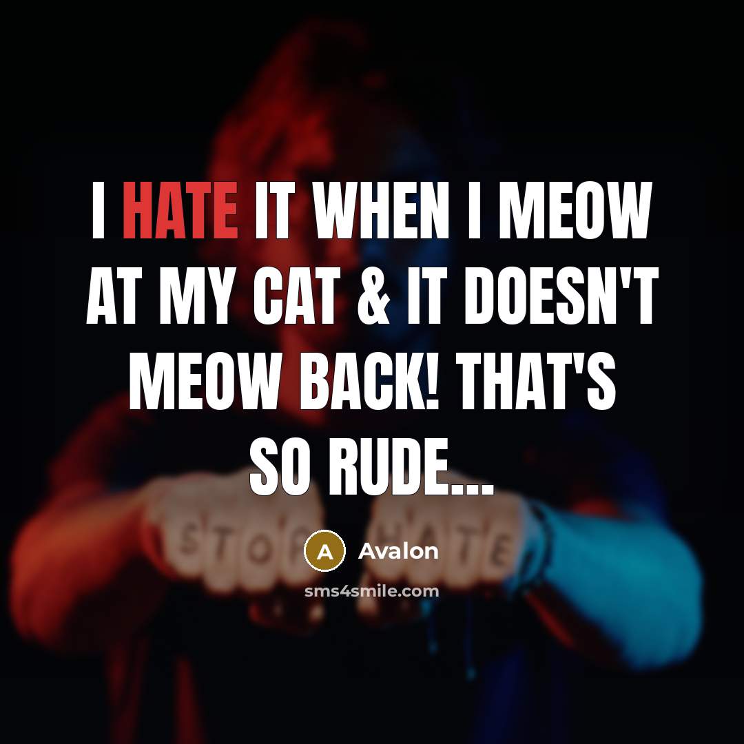 “I hate it when I meow at my cat & it doesn't meow back! That's so rude...” quote by Avalon
