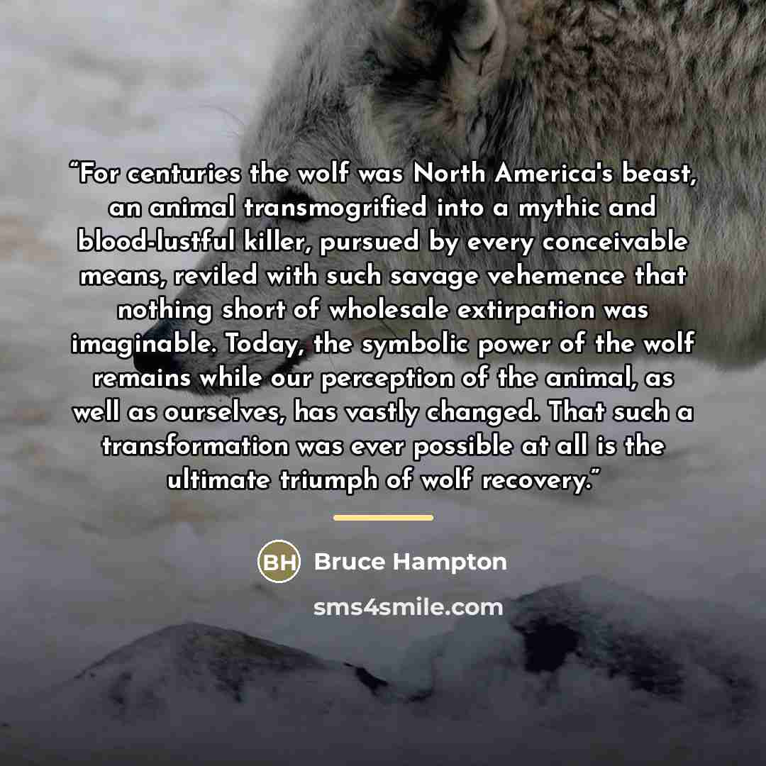 “For centuries the wolf was North America's beast, an animal transmogrified into a mythic and blood-lustful killer, pursued by every conceivable means, reviled with such savage vehemence that nothing short of wholesale extirpation was imaginable. Today, the symbolic power of the wolf remains while…” quote by Bruce Hampton
