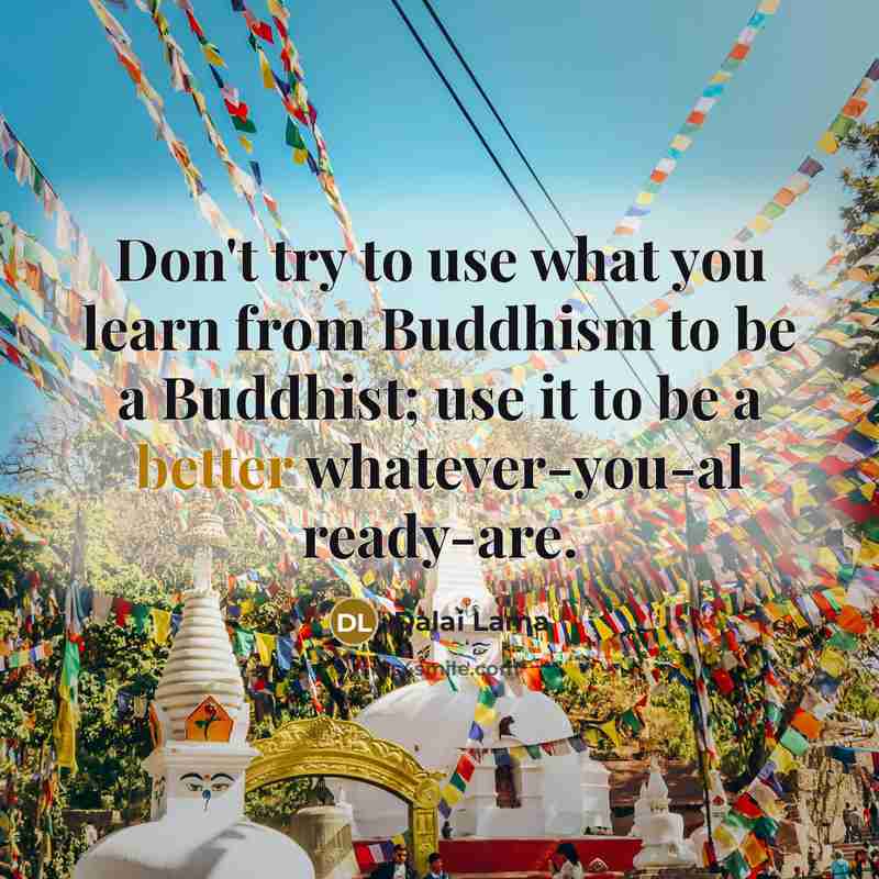 “Don't try to use what you learn from Buddhism to be a Buddhist; use it to be a better whatever-you-al ready-are.” quote by Dalai Lama