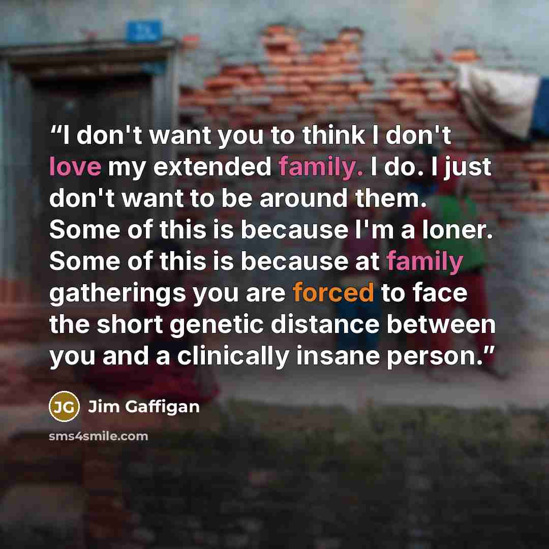 “I don't want you to think I don't love my extended family. I do. I just don't want to be around them. Some of this is because I'm a loner. Some of this is because at family gatherings you are forced to face the short genetic distance between you and a clinically insane person.” quote by Jim Gaffigan
