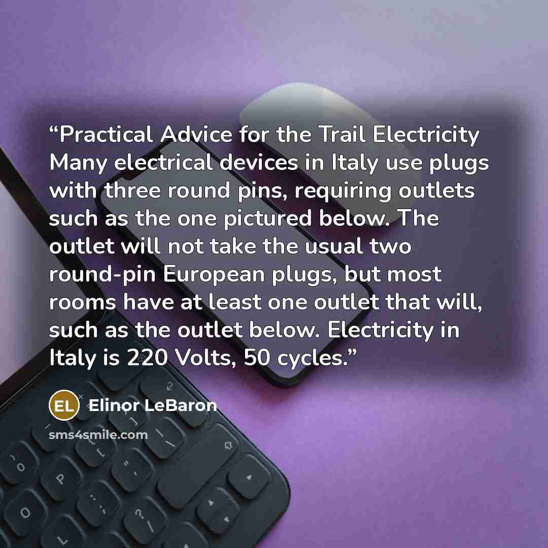 “Practical Advice for the Trail Electricity Many electrical devices in Italy use plugs with three round pins, requiring outlets such as the one pictured below. The outlet will not take the usual two round-pin European plugs, but most rooms have at least one outlet that will, such as the outlet…” quote by Elinor LeBaron