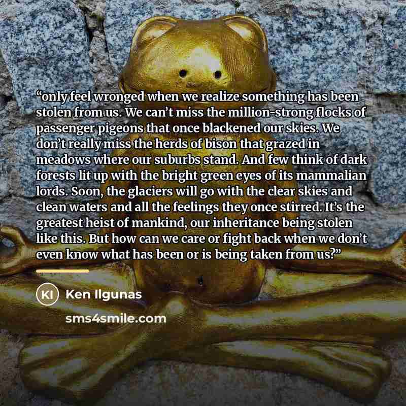 “only feel wronged when we realize something has been stolen from us. We can’t miss the million-strong flocks of passenger pigeons that once blackened our skies. We don’t really miss the herds of bison that grazed in meadows where our suburbs stand. And few think of dark forests lit up with the…” quote by Ken Ilgunas