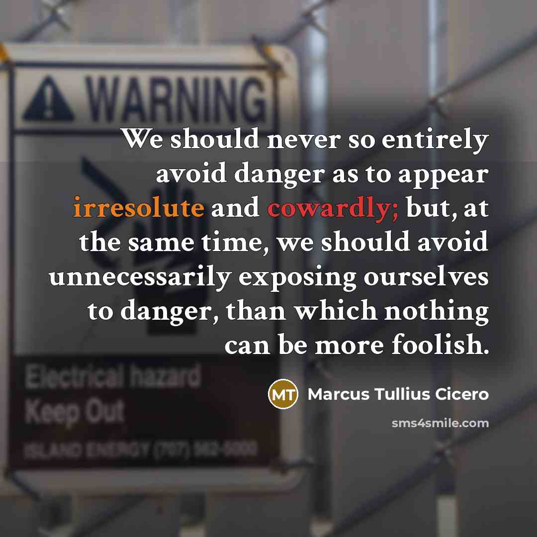 “We should never so entirely avoid danger as to appear irresolute and cowardly; but, at the same time, we should avoid unnecessarily exposing ourselves to danger, than which nothing can be more foolish.” quote by Marcus Tullius Cicero