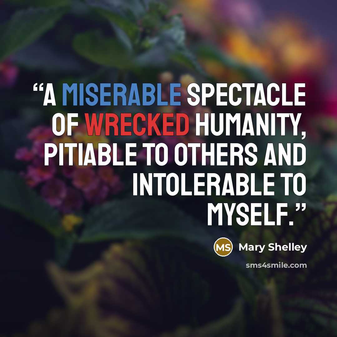 “A miserable spectacle of wrecked humanity, pitiable to others and intolerable to myself.” quote by Mary Shelley