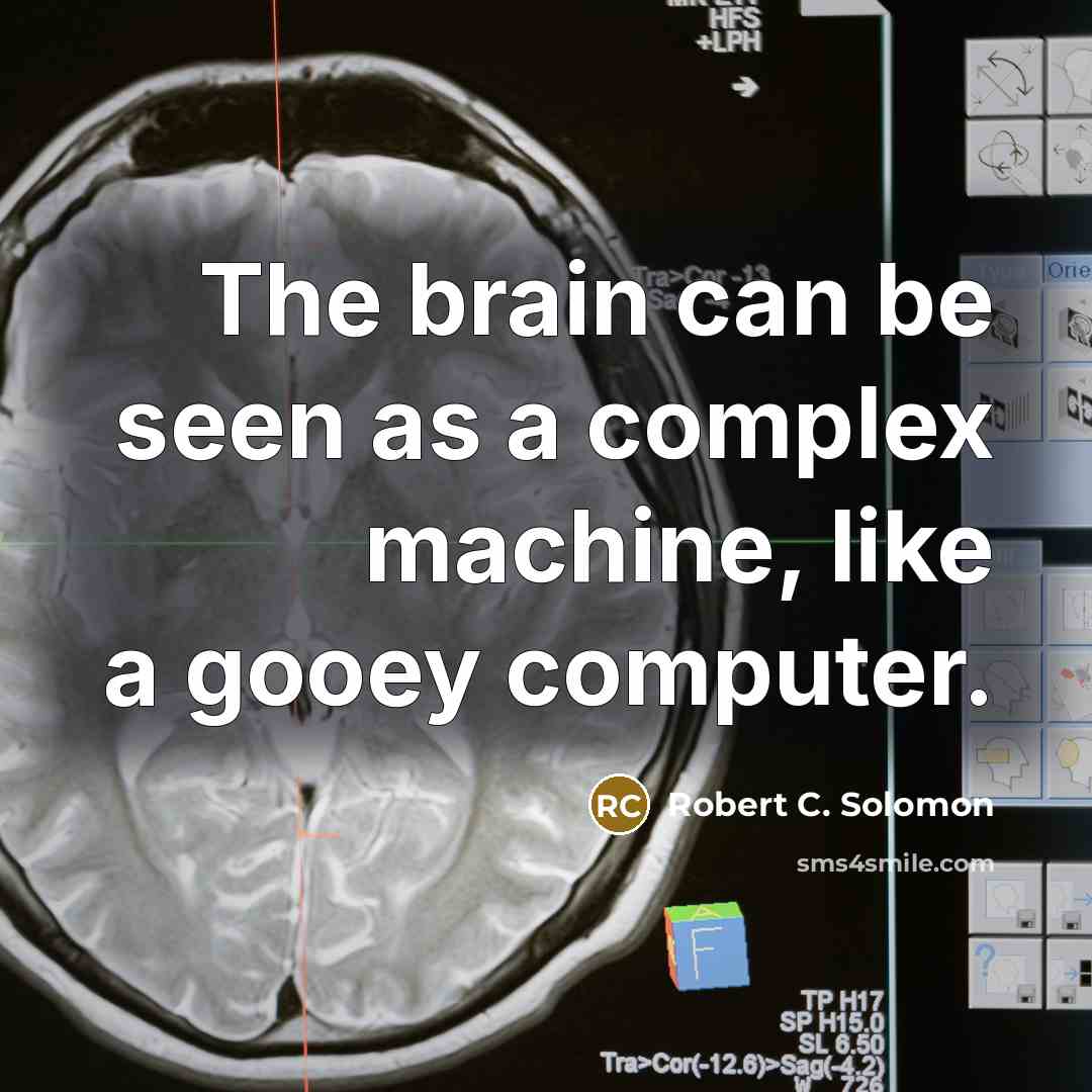“The brain can be seen as a complex machine, like a gooey computer.” quote by Robert C. Solomon