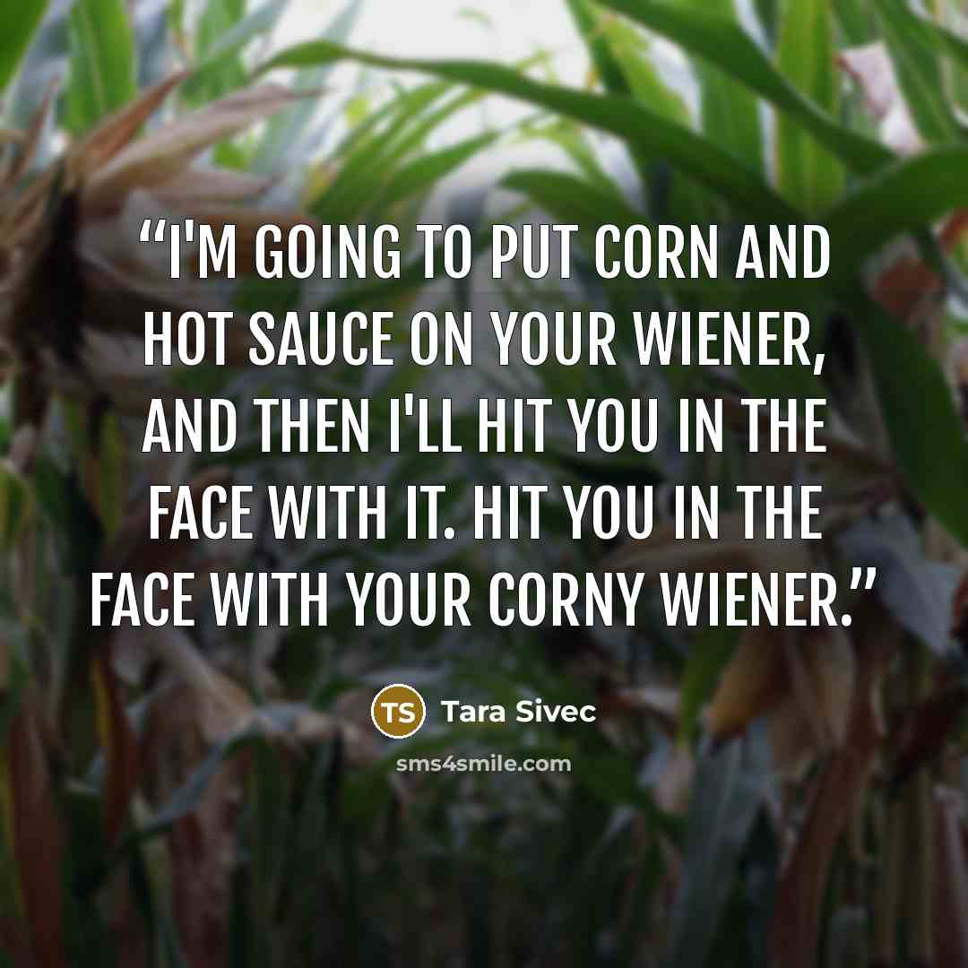 “I'm going to put corn and hot sauce on your wiener, and then I'll hit you in the face with it. Hit you in the face with your corny wiener.” quote by Tara Sivec