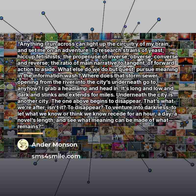 “Anything I run across can light up the circuitry of my brain, and set me on an adventure. To research strains of yeast; hiccup fetishists; the proper use of inverse, obverse, converse and reverse; the ratio of main narrative to tangent, of forward action to aside. What else do we do but quest…” quote by Ander Monson