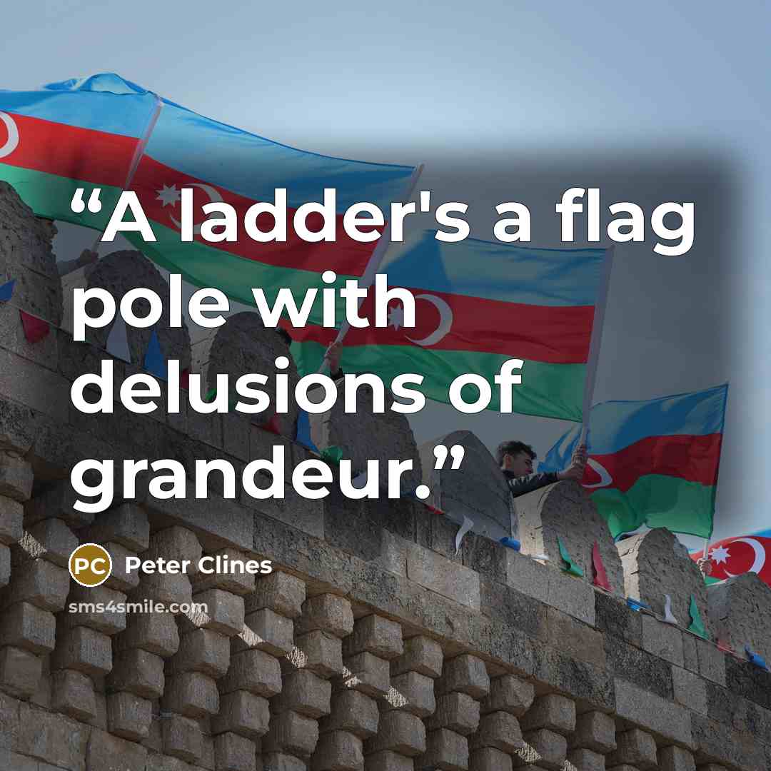 “A ladder's a flag pole with delusions of grandeur.” quote by Peter Clines