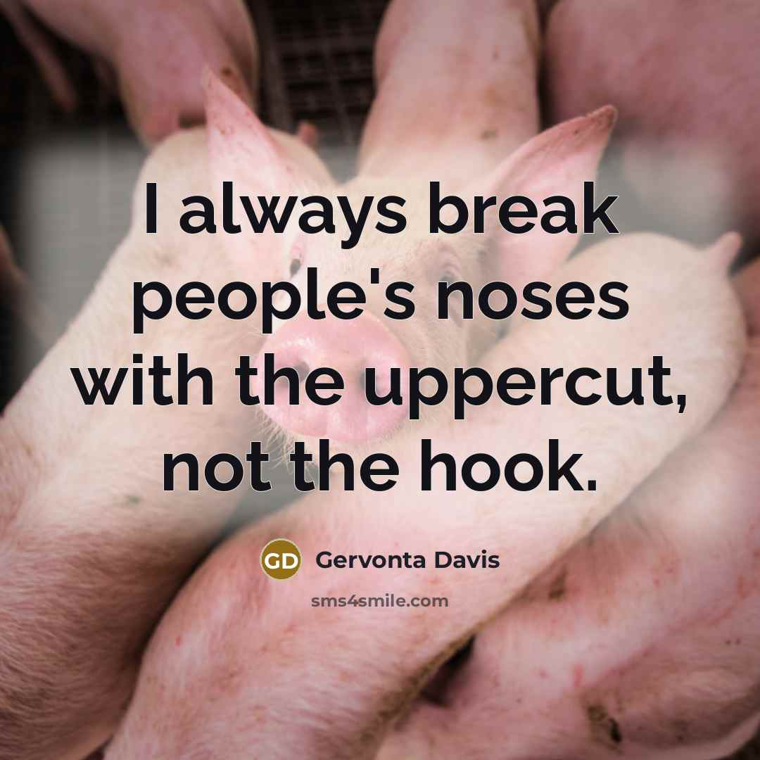 “I always break people's noses with the uppercut, not the hook.” quote by Gervonta Davis