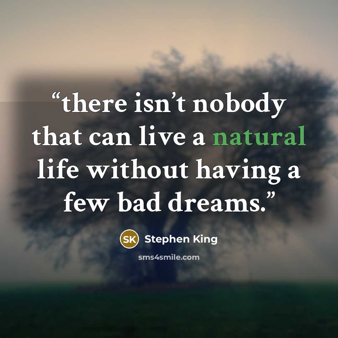 “there isn’t nobody that can live a natural life without having a few bad dreams.” quote by Stephen King