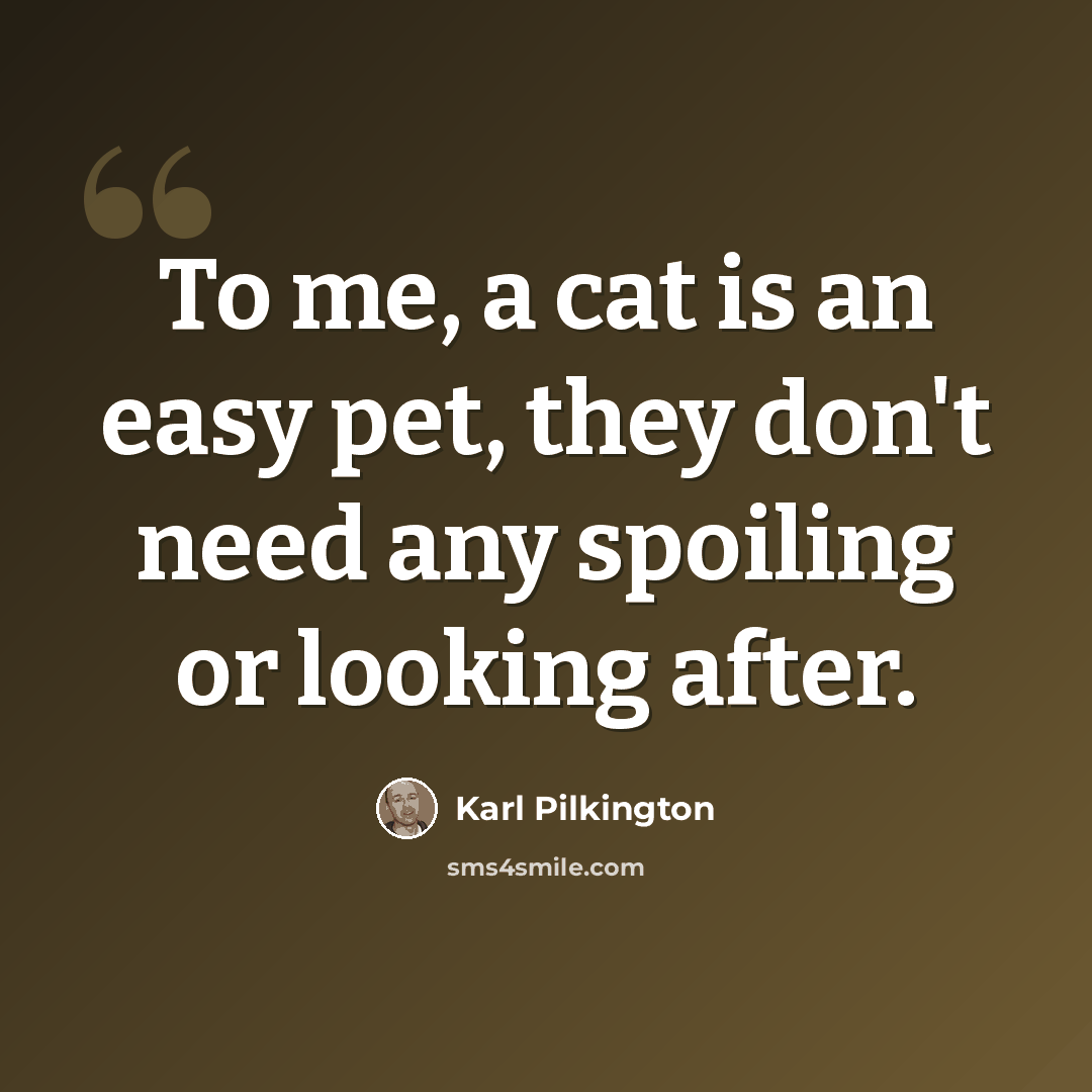 “To me, a cat is an easy pet, they don't need any spoiling or looking after.” quote by Karl Pilkington