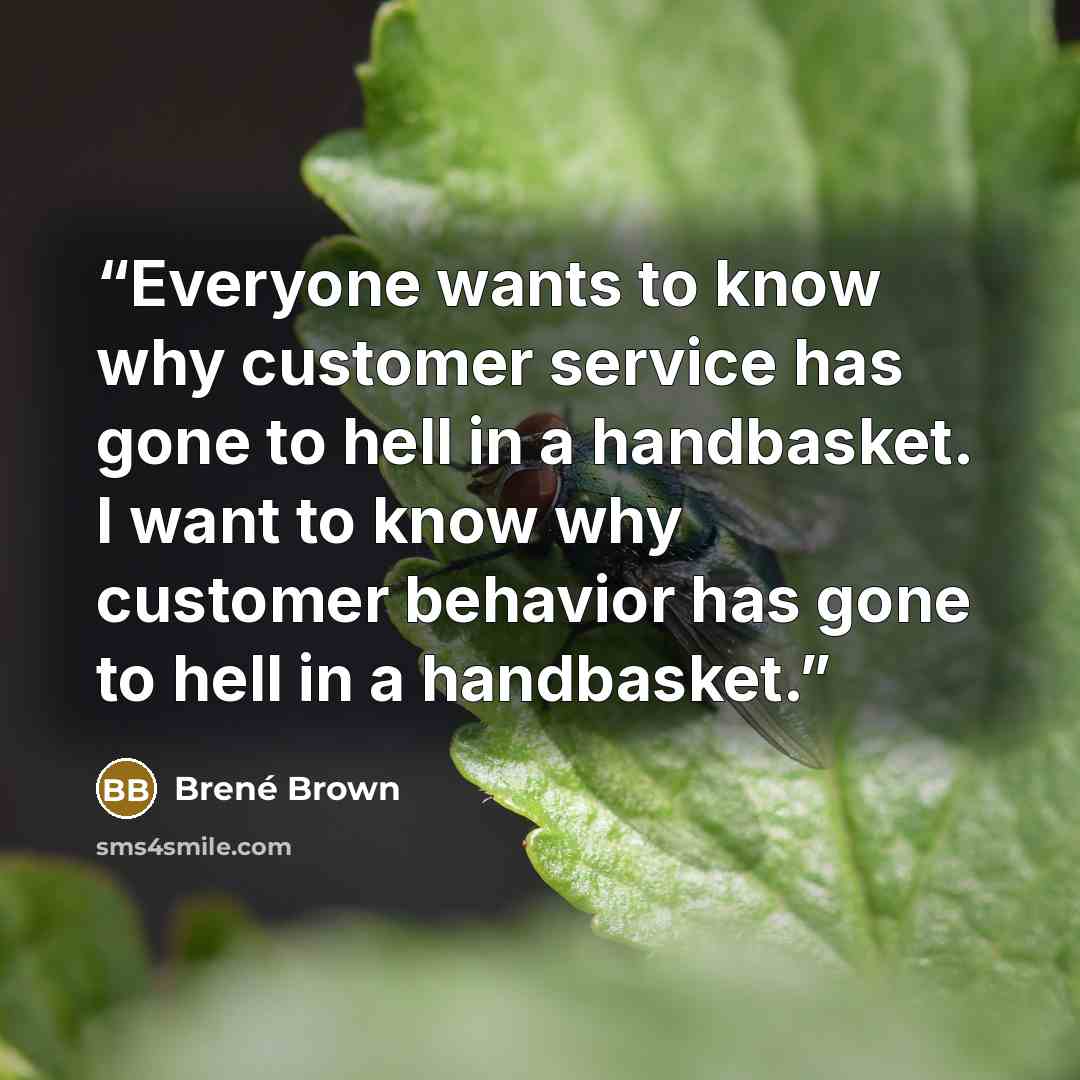 “Everyone wants to know why customer service has gone to hell in a handbasket. I want to know why customer behavior has gone to hell in a handbasket.” quote by Brené Brown