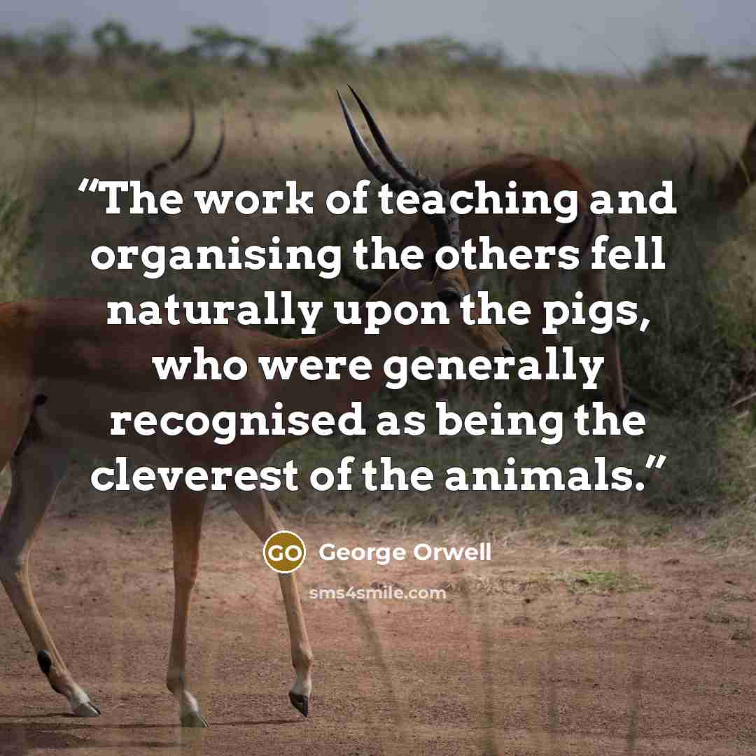 “The work of teaching and organising the others fell naturally upon the pigs, who were generally recognised as being the cleverest of the animals.” quote by George Orwell