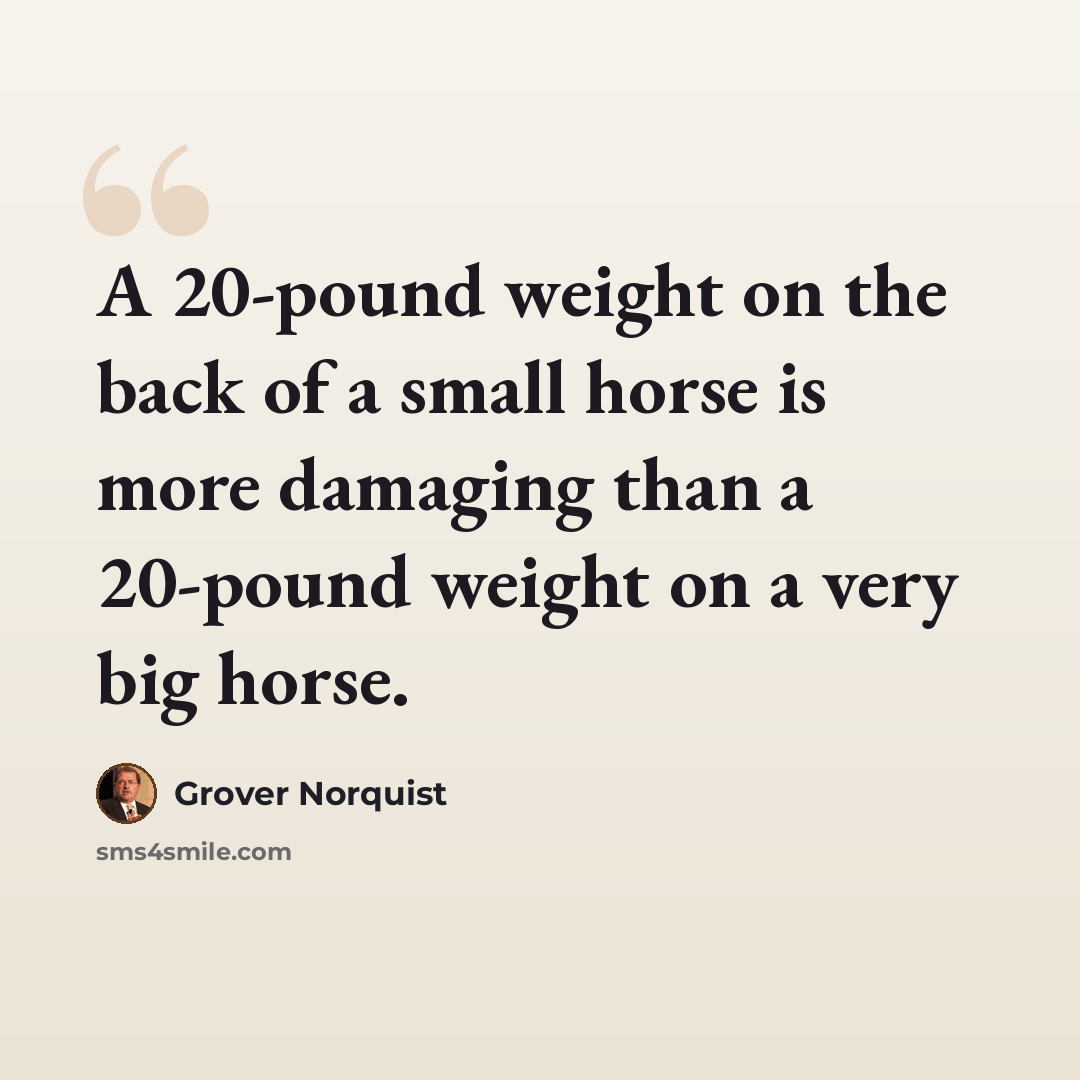 “A 20-pound weight on the back of a small horse is more damaging than a 20-pound weight on a very big horse.” quote by Grover Norquist