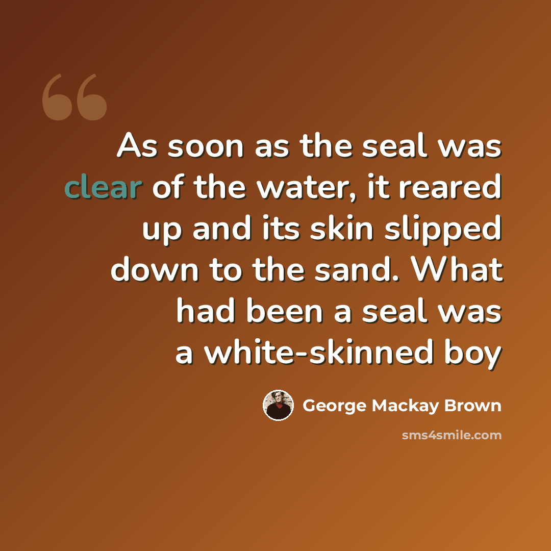 “As soon as the seal was clear of the water, it reared up and its skin slipped down to the sand. What had been a seal was a white-skinned boy” quote by George Mackay Brown