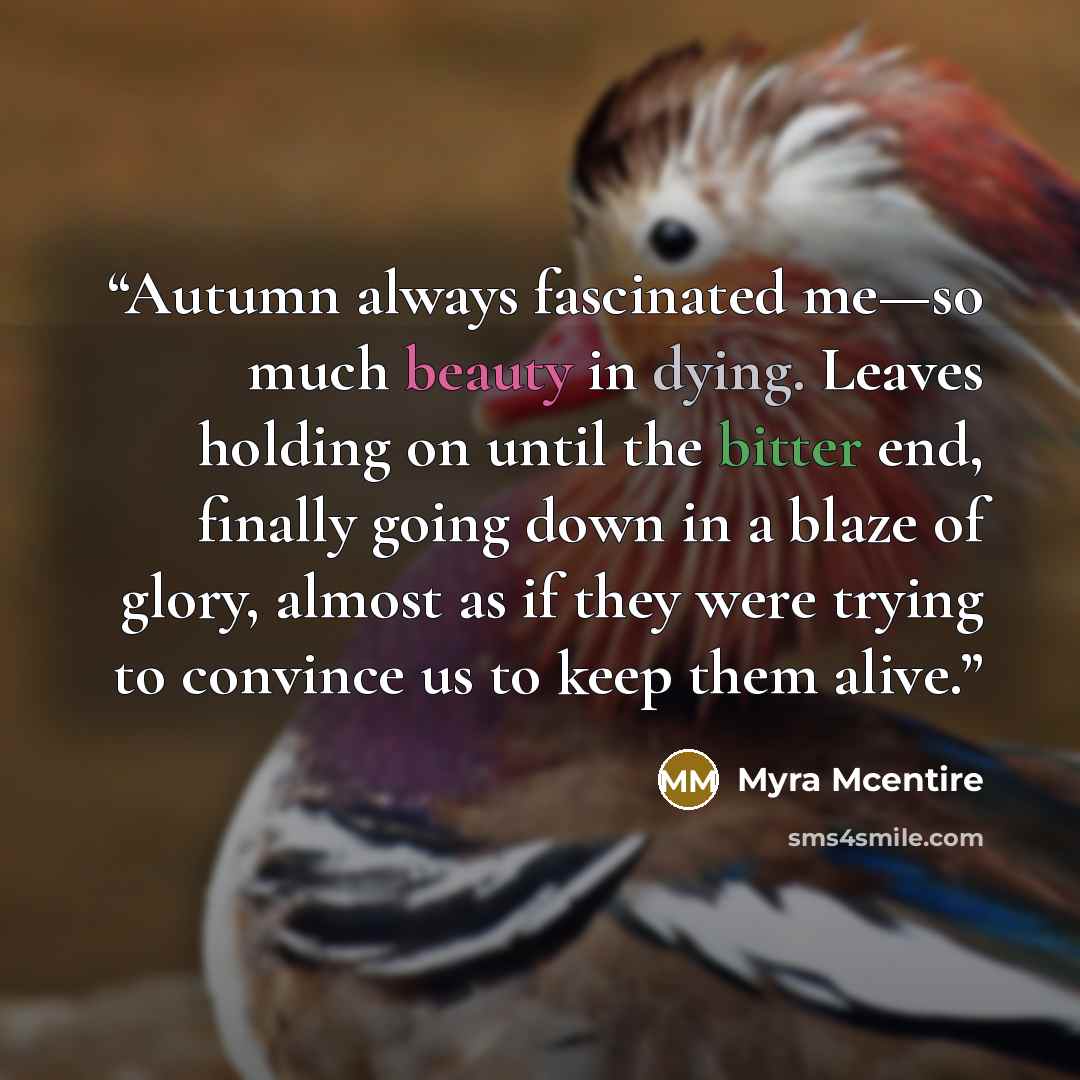 “Autumn always fascinated me—so much beauty in dying. Leaves holding on until the bitter end, finally going down in a blaze of glory, almost as if they were trying to convince us to keep them alive.” quote by Myra Mcentire