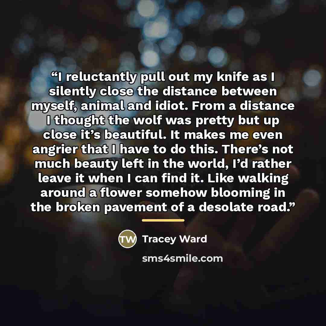 “I reluctantly pull out my knife as I silently close the distance between myself, animal and idiot. From a distance I thought the wolf was pretty but up close it’s beautiful. It makes me even angrier that I have to do this. There’s not much beauty left in the world, I’d rather leave it when I can…” quote by Tracey Ward
