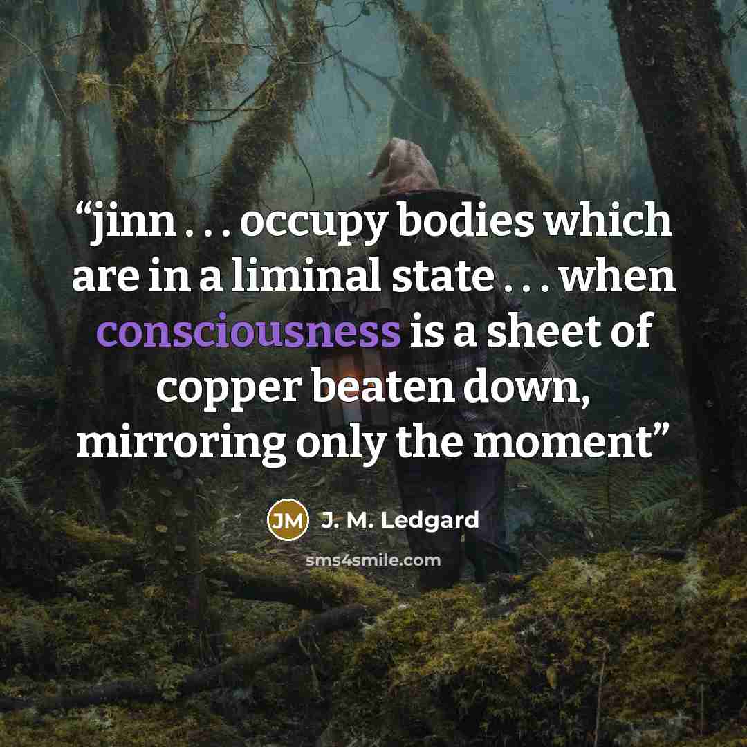 “jinn . . . occupy bodies which are in a liminal state . . . when consciousness is a sheet of copper beaten down, mirroring only the moment” quote by J. M. Ledgard