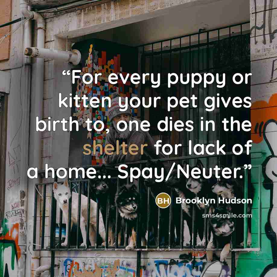 “For every puppy or kitten your pet gives birth to, one dies in the shelter for lack of a home... Spay/Neuter.” quote by Brooklyn Hudson