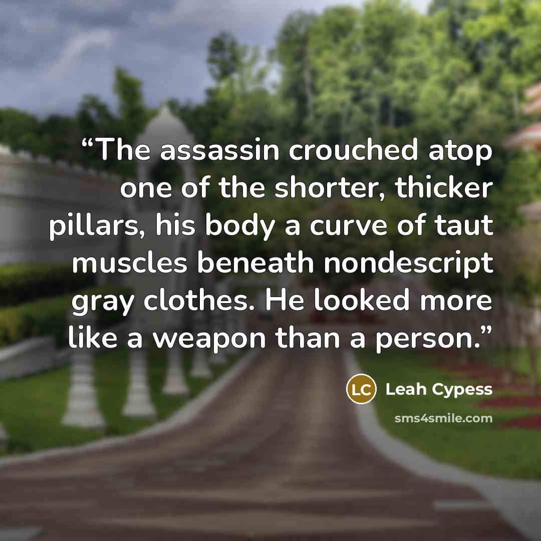 “The assassin crouched atop one of the shorter, thicker pillars, his body a curve of taut muscles beneath nondescript gray clothes. He looked more like a weapon than a person.” quote by Leah Cypess