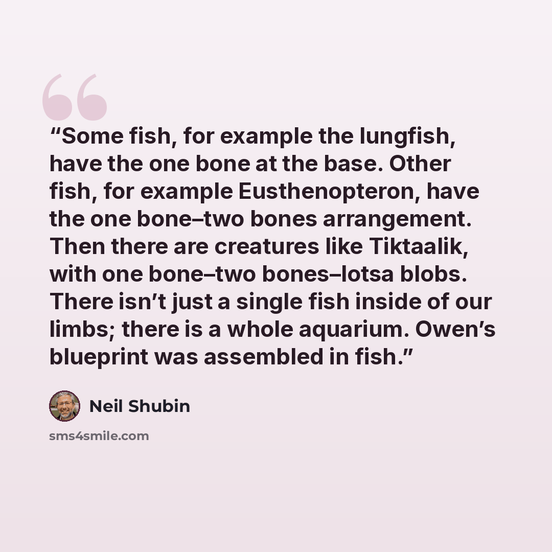 “Some fish, for example the lungfish, have the one bone at the base. Other fish, for example Eusthenopteron, have the one bone–two bones arrangement. Then there are creatures like Tiktaalik, with one bone–two bones–lotsa blobs. There isn’t just a single fish inside of our limbs; there is a whole…” quote by Neil Shubin